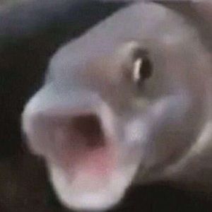 Meet your Posher, Max